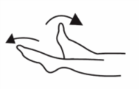 Circulation Exercises